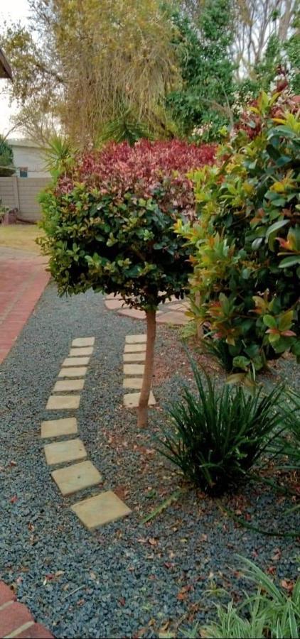 Aandrus Guesthouse Bloemfontein Exterior foto